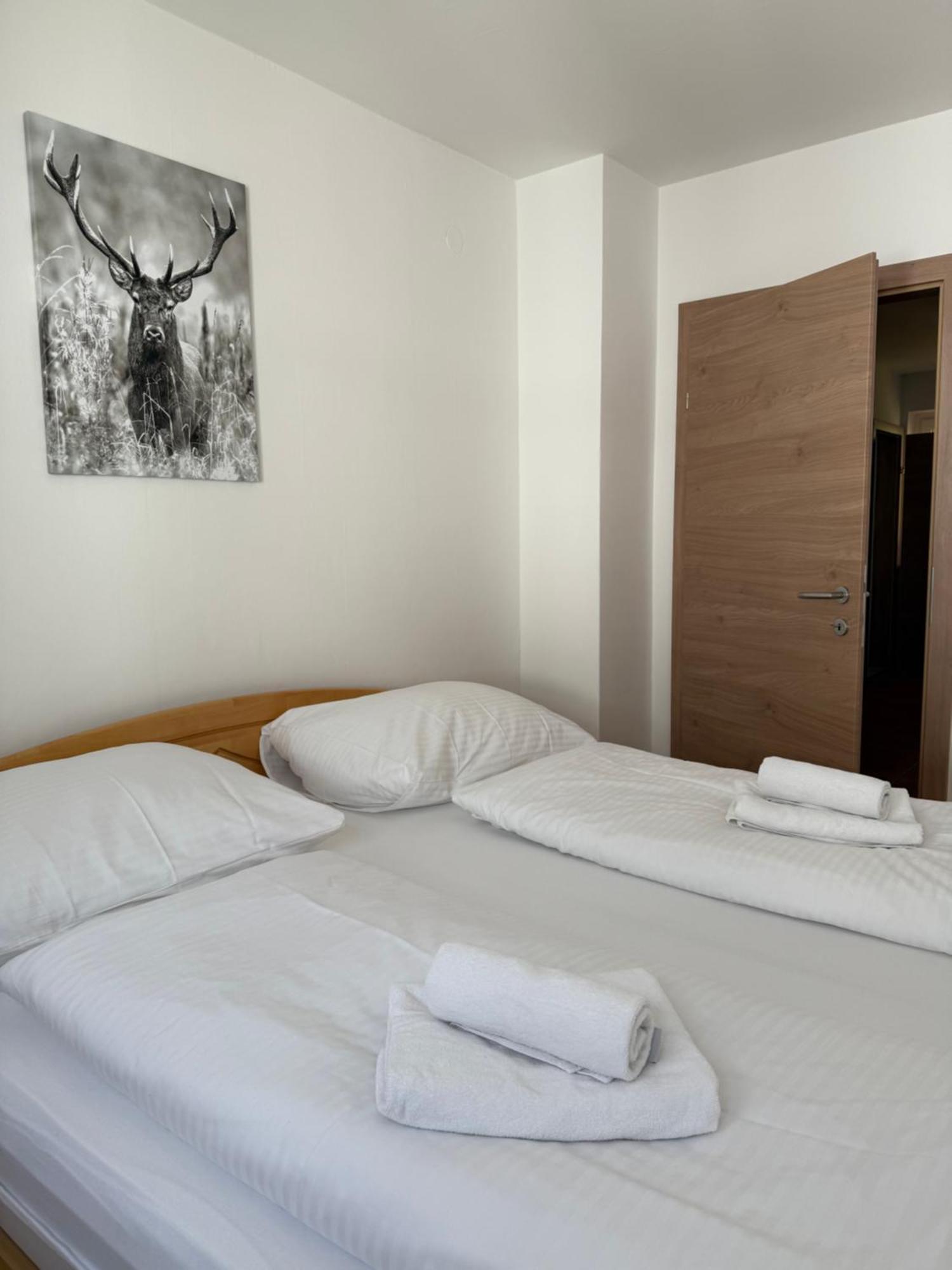 Appartement Berger Zell am See Dış mekan fotoğraf
